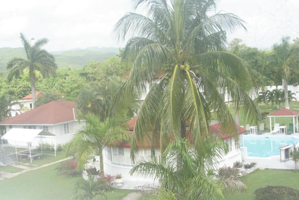 Executive Mammee Bay Hotel Ocho Rios Exterior foto